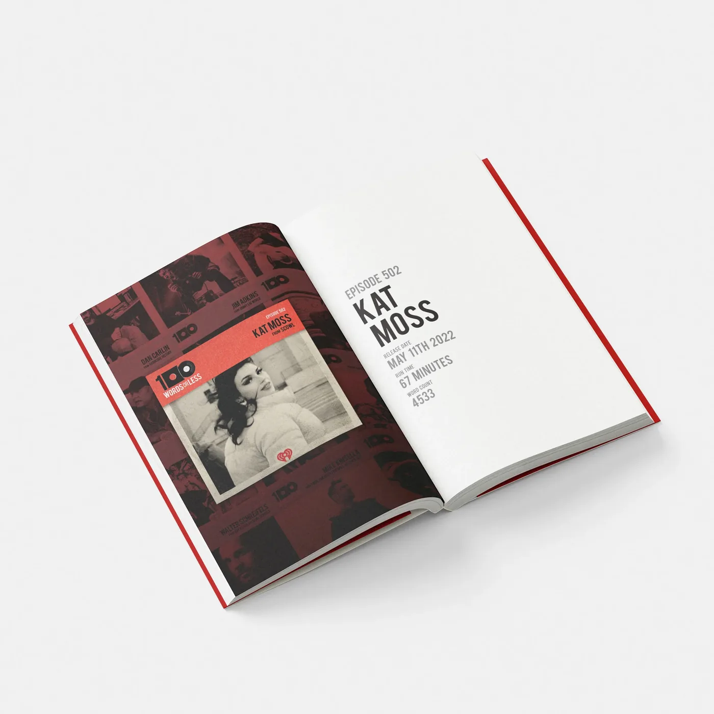Ray Harkins finds his own hardcore history inside the "100 Words or Less" interview archive 5 100 Words or Less: Interviews from Independent Culture (Book 1)