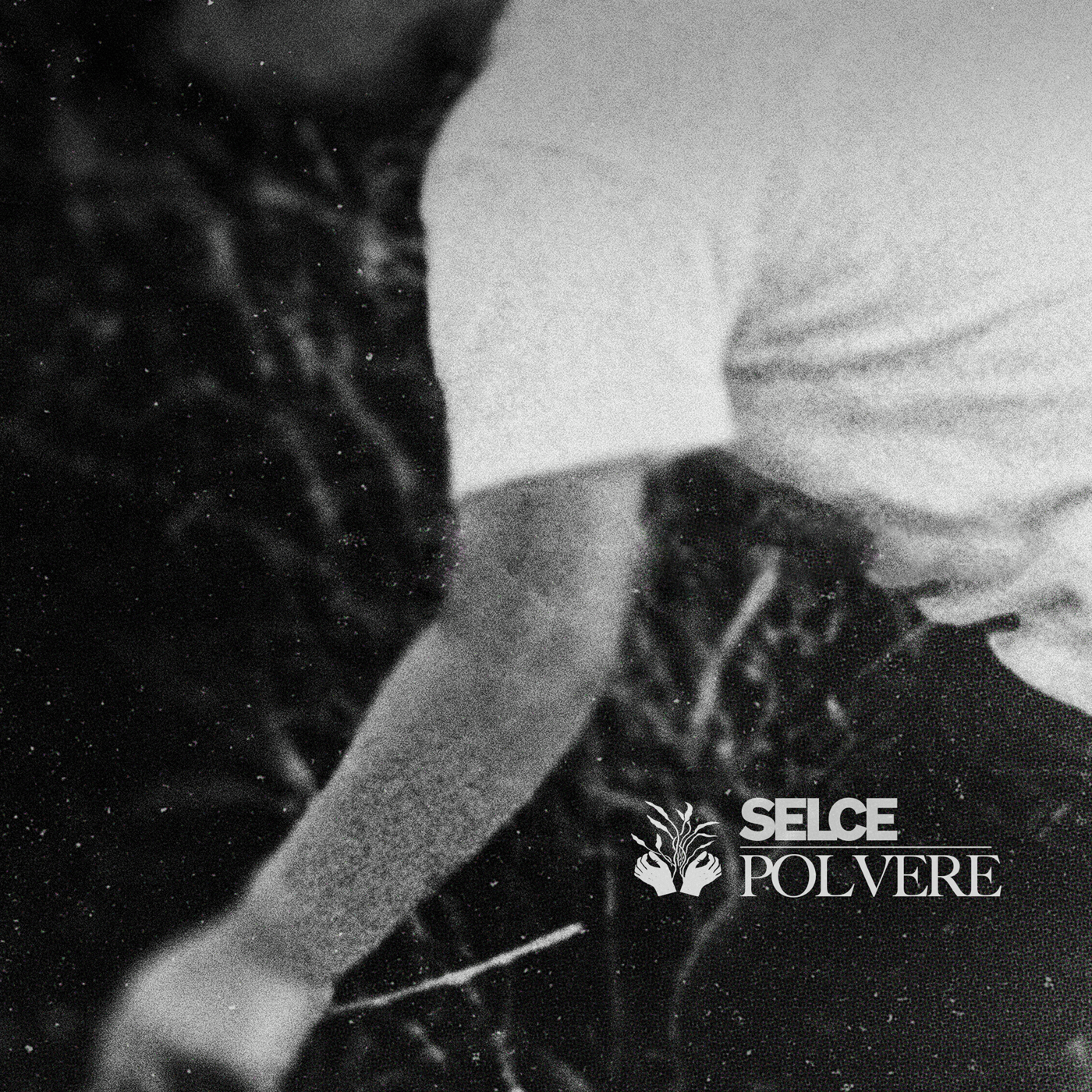 Turin melodic hardcore band Selce premiere "Polvere", a song about mortality, acceptance and letting go 1 Selce - Polvere